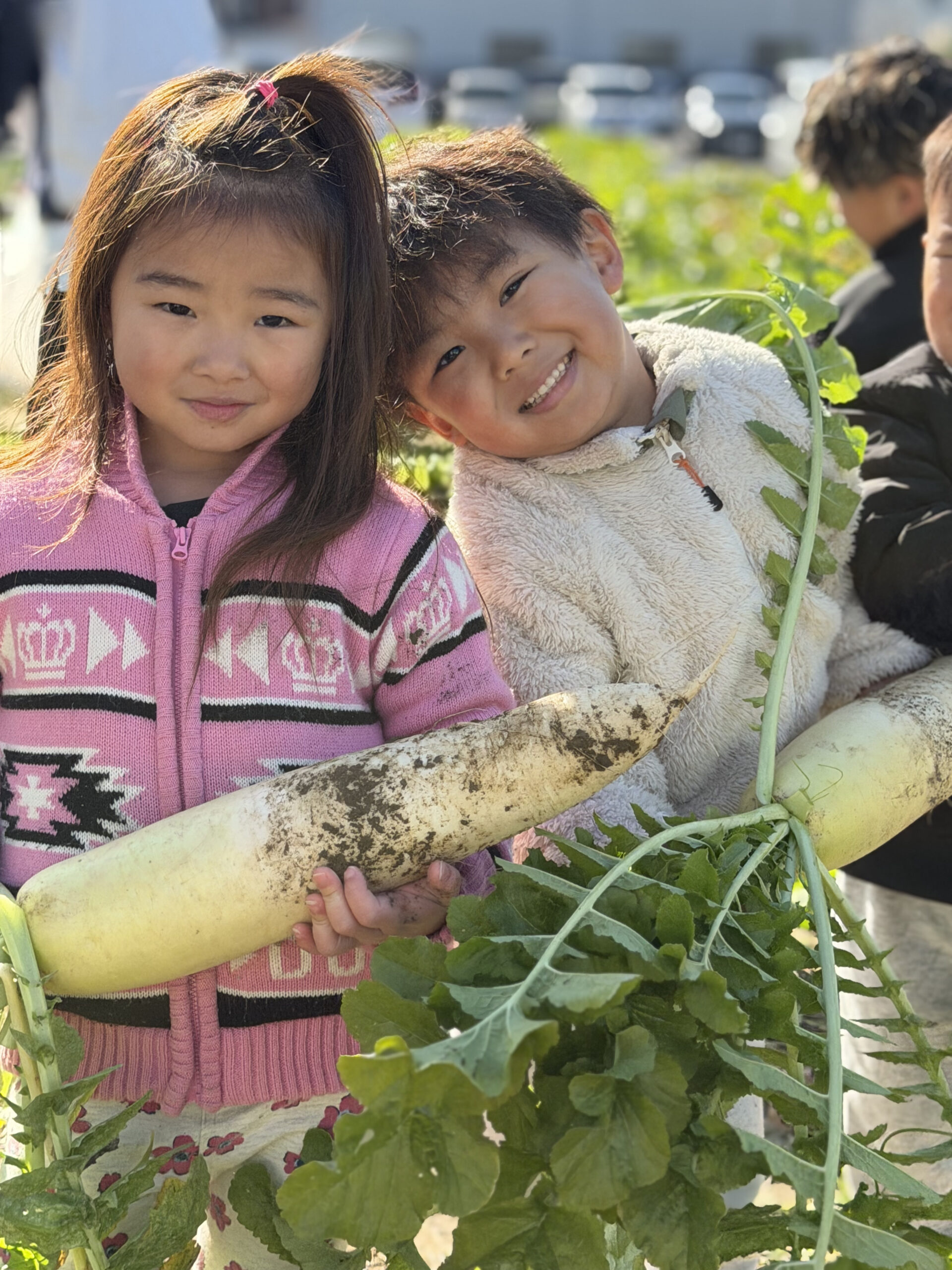 メインビジュアル3