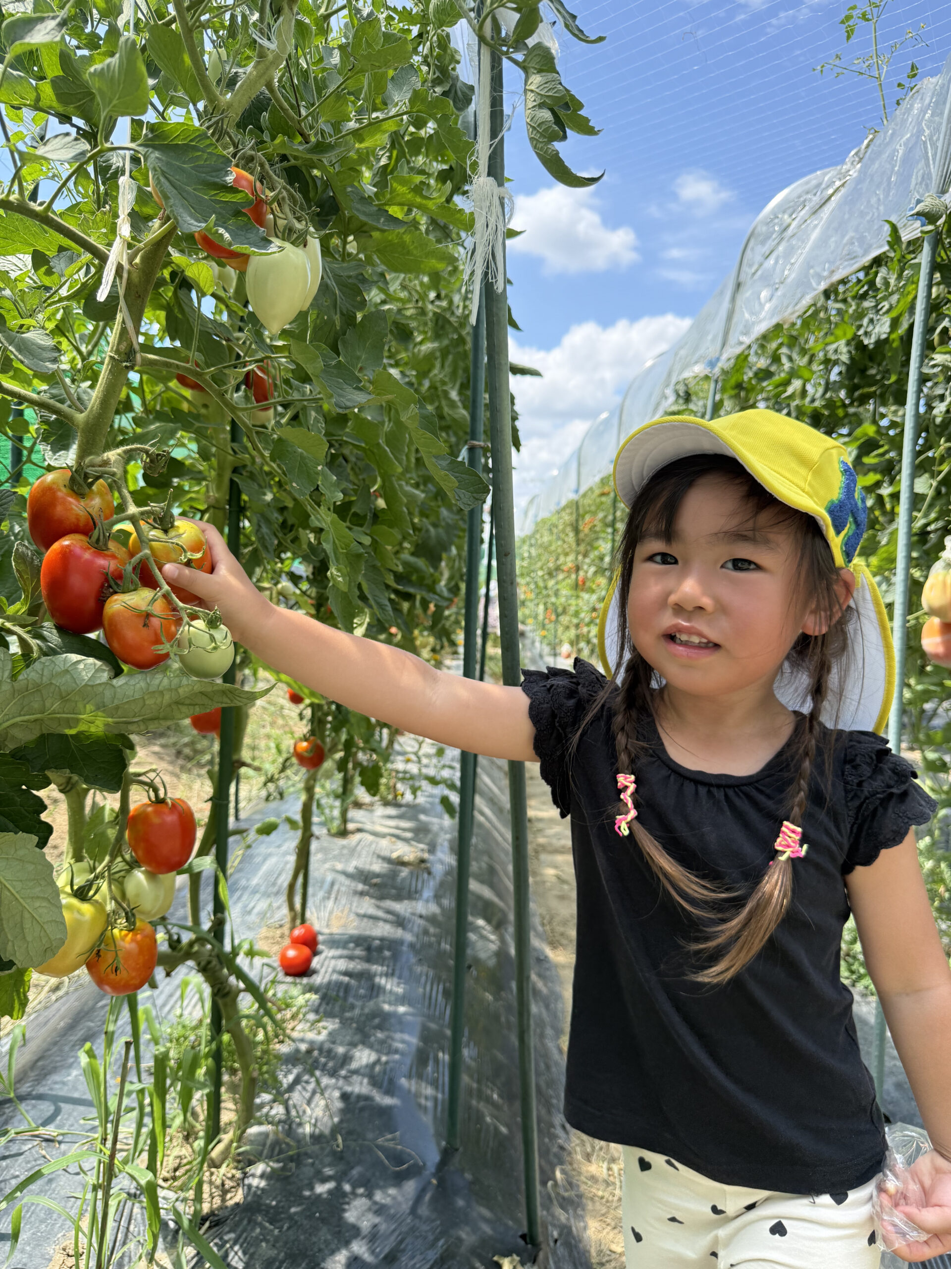 メインビジュアル3